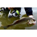 Valas Shimano KAIRIKI PE 150 m (žalias)